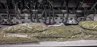 Pleasanton Drunk Driver Found With 11 Lbs. Of Marijuana: Police