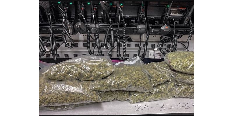 Pleasanton Drunk Driver Found With 11 Lbs. Of Marijuana: Police