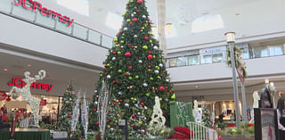 Santa arrives at Cielo Vista Mall, photo sessions available through Christmas Eve