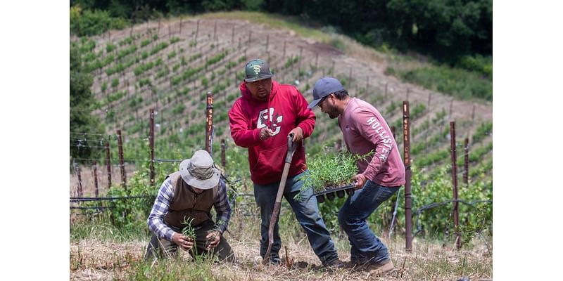 House Family Vineyards gets second extension on temporary operations