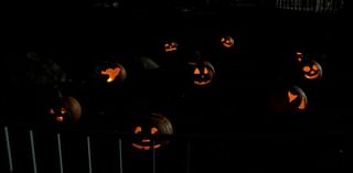 Annual Pumpkin Walk features display of over 1K pumpkins at Waldameer Park