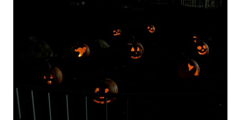 Annual Pumpkin Walk features display of over 1K pumpkins at Waldameer Park