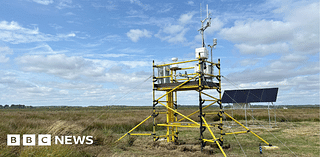 Arne Moor's monitoring tower to track carbon locked in salt marsh