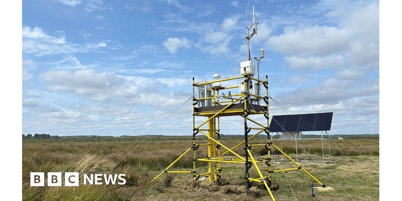 Arne Moor's monitoring tower to track carbon locked in salt marsh