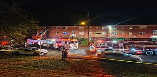 Firefighters battle Bladensburg house fire; 1 dog dead