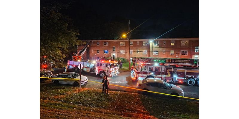 Firefighters battle Bladensburg house fire; 1 dog dead