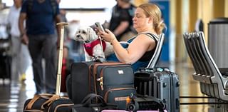 Pets are hitching a ride on the travel boom