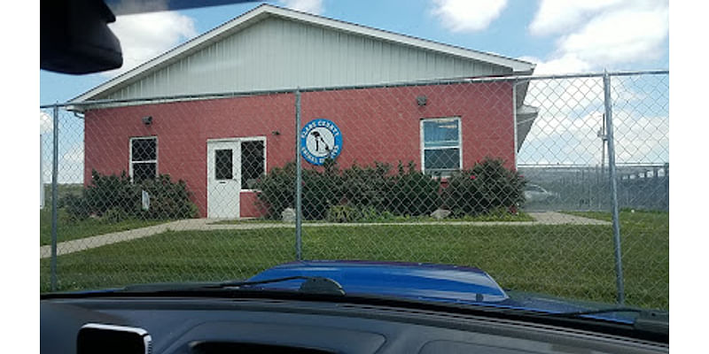 This Kentucky animal shelter will provide crates to owners bringing their pets inside this winter