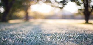 How to keep your garden green during the frost