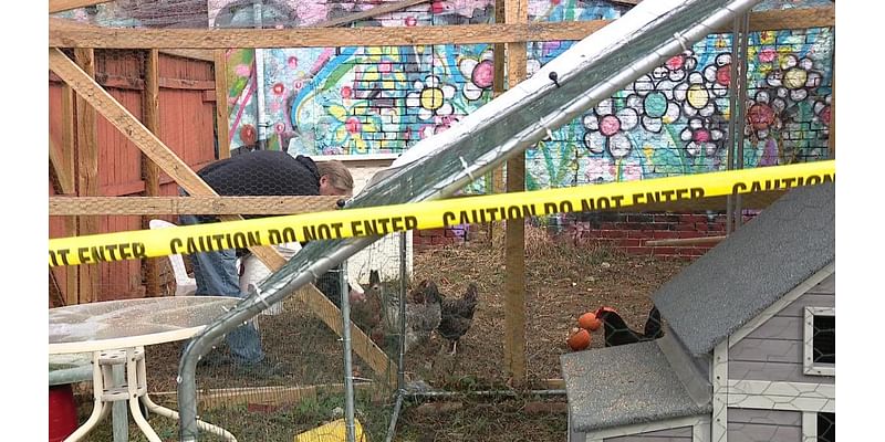 Community garden left to pick up the pieces after Kensington warehouse fire