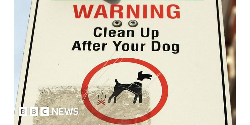 Dog owners to face £100 fines for leaving waste