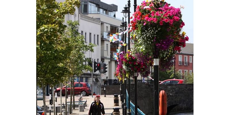 Education, health and social work sector employs most people in Sligo according to new report