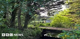 Plan to buy land for Salisbury nature reserve gets £50k boost