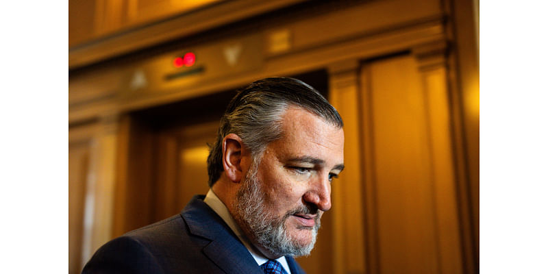 Ted Cruz Gets Two Worrying Signs From New Texas Poll