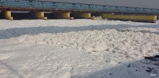 Video: Yamuna Blanketed In Toxic Froth, Delhi Air Quality Remains Poor