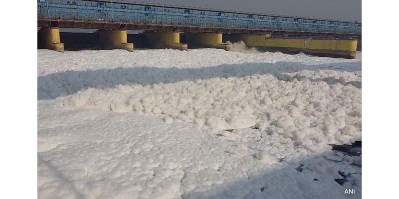 Video: Yamuna Blanketed In Toxic Froth, Delhi Air Quality Remains Poor