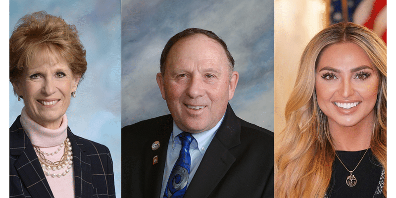 Hulse, Ladner and Goodwin win in South Dakota District 30