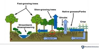 Volunteers sought for October tree planting in Dauphin County near Elizabethtown