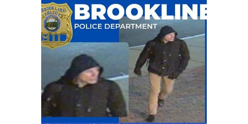 Brookline School Break-In Suspect Sought: Police