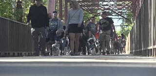 See Spot Walk is the largest fundraiser of the year for the Idaho Humane Society