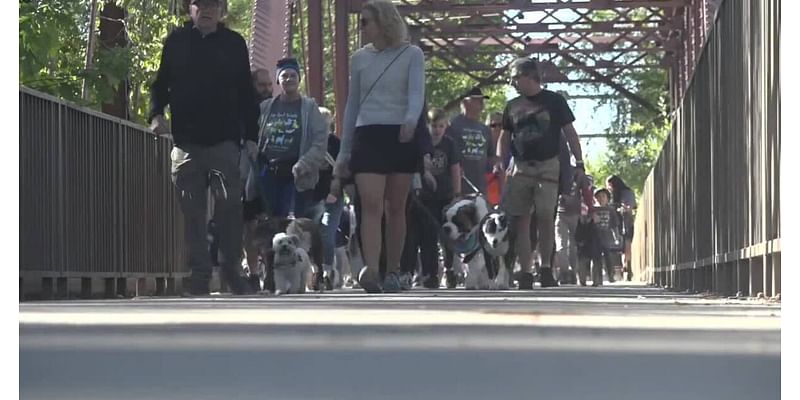 See Spot Walk is the largest fundraiser of the year for the Idaho Humane Society