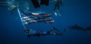 Veterans swim with sharks to mark Fourth of July