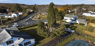 Crowds flock to tiny Massachusetts town to send off New York’s Rockefeller Christmas tree