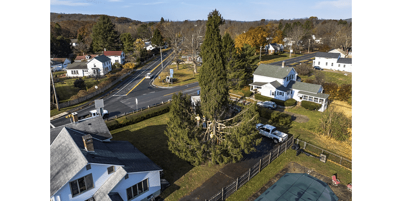 Crowds flock to tiny Massachusetts town to send off New York’s Rockefeller Christmas tree