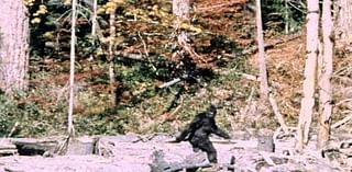 Mysterious 'whoops' and screams heard in small Connecticut town that's a hotspot for Bigfoot sightings