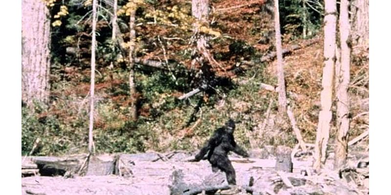 Mysterious 'whoops' and screams heard in small Connecticut town that's a hotspot for Bigfoot sightings