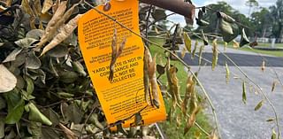 Orange tags on storm debris has 'caused a little bit of stir'