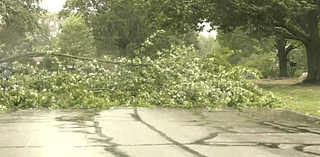 Communities work to clear debris after Friday’s storms