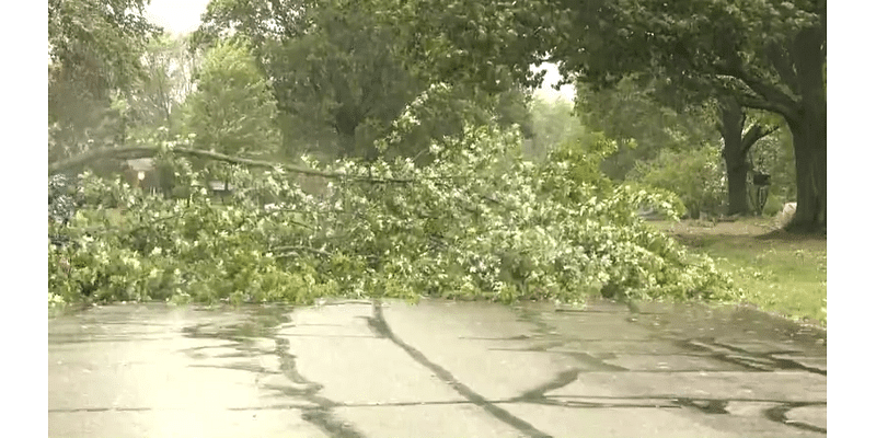 Communities work to clear debris after Friday’s storms