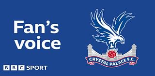 Crystal Palace news: Opinion - Injury issues mean relegation battle escape 'will take longer than desired'