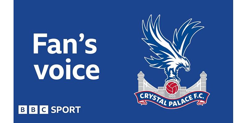 Crystal Palace news: Opinion - Injury issues mean relegation battle escape 'will take longer than desired'