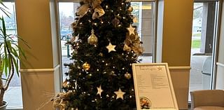 Tree of Lights campaign underway at OSF Saint Clare in Princeton