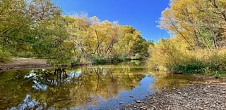 Wanting to see fall leaves? These Arizona state parks have plenty of color