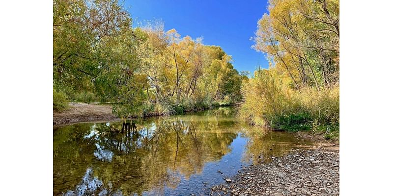 Wanting to see fall leaves? These Arizona state parks have plenty of color