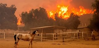 Southern California Wildfire Rages and Destroys Structures