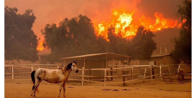 Southern California Wildfire Rages and Destroys Structures