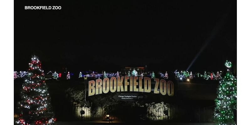 Holiday Magic returns to Brookfield Zoo Chicago