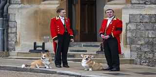 Queen Elizabeth’s Corgis Heartbreakingly Bid Her a Final Farewell Before the Monarch’s Burial Two Years Ago