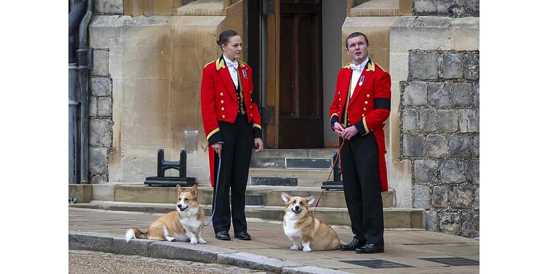 Queen Elizabeth’s Corgis Heartbreakingly Bid Her a Final Farewell Before the Monarch’s Burial Two Years Ago