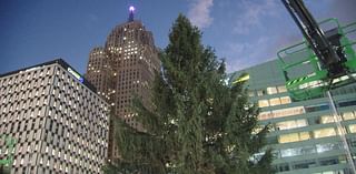 Preparations underway before annual Christmas tree lightning in downtown Detroit