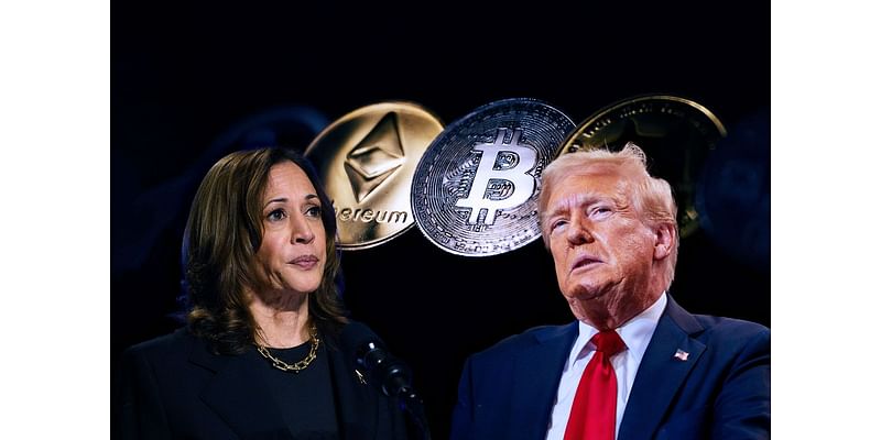 Rise of the "crypto voter": The surprising group that could swing the election