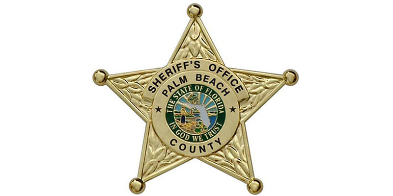 The Palm Beach County candidates in election for Sheriff