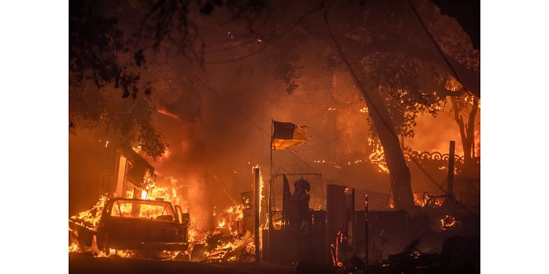 OC firefighters save bald eagles, horses from Airport Fire