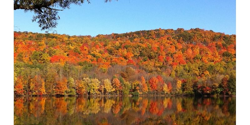 Fall in the Ozarks by the numbers