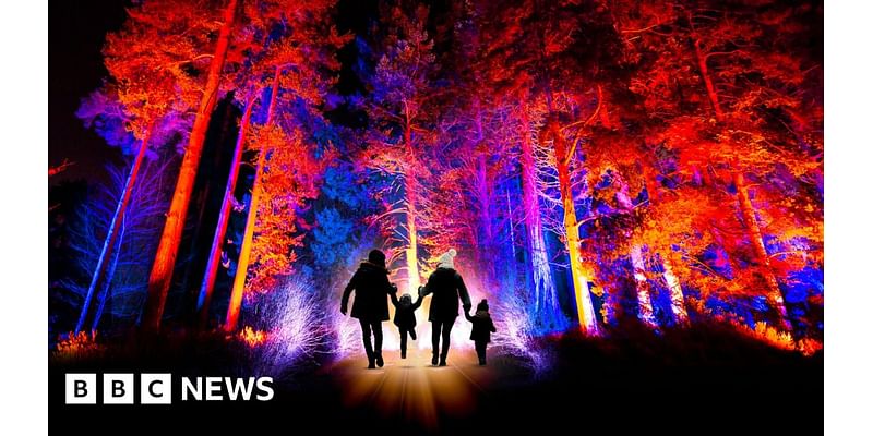 Bedgebury National Pinetum: Christmas trail lights up Kent forest