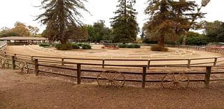 A survey finds strong support for bringing pony rides back to Griffith Park. Activists are not happy